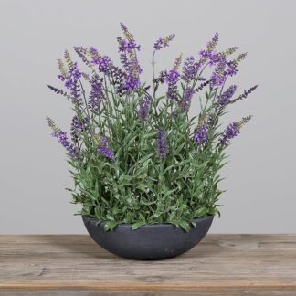 Steam Herbs – Lavender Produktfoto